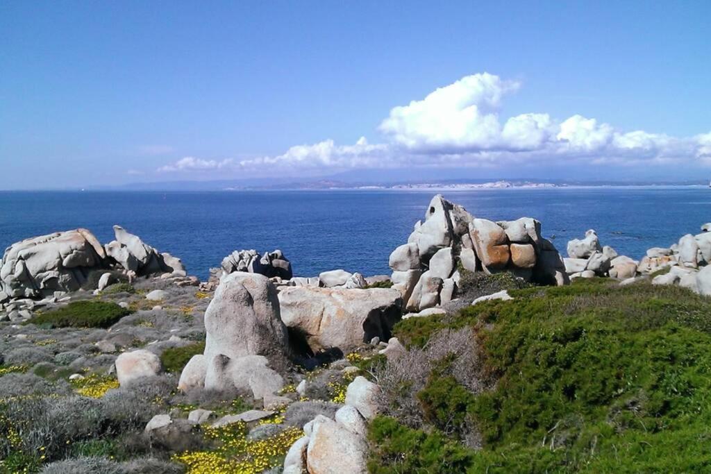 Una Splendida Terrazza Sul Mare Santa Teresa Gallura Ngoại thất bức ảnh